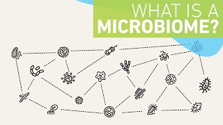 What is a microbiome [upl. by Henn]