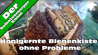 Honigernte Bienenkiste ohne Probleme [upl. by Lief217]