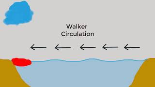 What is El Nino La Nina amp Southern Oscillation  How they affect Indian MonsoonsGlobal climate [upl. by Zeena]