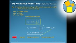 Exponentielles Wachsen und Abnehmen  Rueff [upl. by Llertnom]