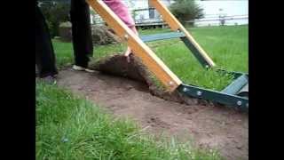 How to Use a Sod Cutter How to cut sod for landscaping gardening cement Edge sidewalks [upl. by Holli]