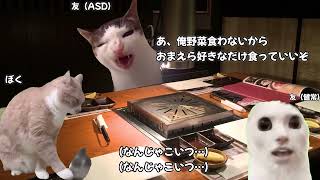 ASDアスペルガー症候群の友人 猫マニ 猫ミーム [upl. by Sadinoel]