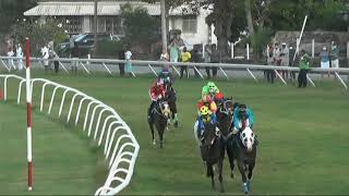 BTC RACE DAY 5TH MARCH 2022 RACE 7 [upl. by Belinda137]