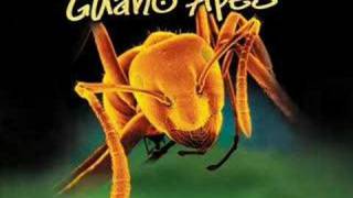 Guano Apes Open Your Eyes Wlyrics [upl. by Yelrihs]