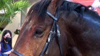 KOMMETDIEDING VODACOM DURBAN JULY HISTORY [upl. by Acissev]