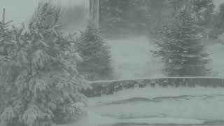 Epic Snowstorm  Howling Blizzard Sounds  Heavy Wind amp Snow  Perfect Sounds For Sleep [upl. by Cookie]