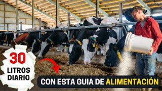 Así es la dieta de una vaca lechera Guía para la alimentación y nutrición del ganado lechero [upl. by Flossie]