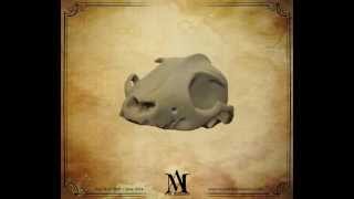 Dog Skull Sculpt [upl. by Goody313]