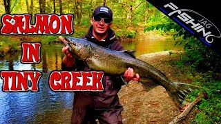 Big Salmon In Tiny Creek Salmon River Pulaski New York [upl. by Lenz98]