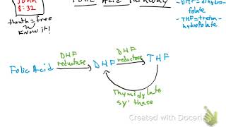 Folic acid pathway [upl. by Laira]