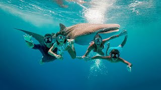 🇵🇭 We FINALLY found whale sharks In Oslob Philippines [upl. by Tecil]