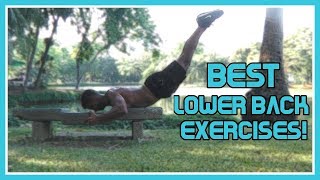 6 ESSENTIAL Calisthenics Lower Back Exercises [upl. by Ferde99]