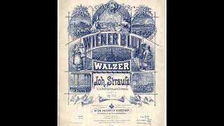 Johann Strauss Wiener Blut  Walzer [upl. by Phonsa]