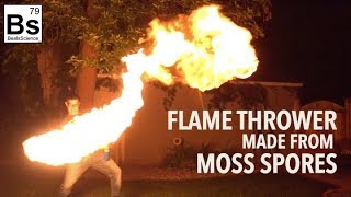 Flame Thrower made from Moss Spores [upl. by Arlin]