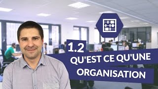 Chapitre 1  Quest ce quune organisation 23  Management Bac STMG  digiSchool [upl. by Waneta]