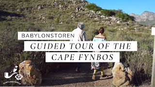 Guided Tour Of The Cape Floral Kingdom At Babylonstoren [upl. by Apps]