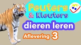 Dierennamen  Eerste Woordjes  Dieren Leren Aflevering 3 Peuters en Kleuters [upl. by Ttreve]