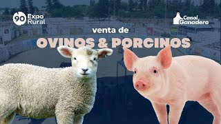 OVINOS Y PORCINOS GENÉTICA PARA TU GRANJA [upl. by Barlow383]