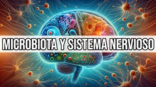 🔄️ RELACIÓN entre la Microbiota y el Sistema Nervioso  Mar Alonso [upl. by Nodlehs]