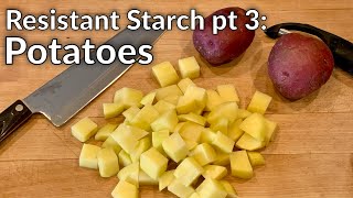 Testing Resistant Starch pt 3  Potatoes Revisited with Continuous Glucose Monitoring [upl. by Rodolph840]