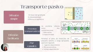 Transportes de membrana biología celular [upl. by Giacinta]