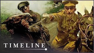 The Tragic True Story Of War Horse  War Horse  Timeline [upl. by Dorella]