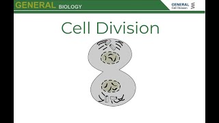 Cell Division Mitosis and Cytokinesis [upl. by Adriano]