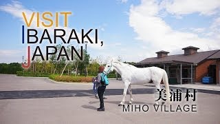 美浦村MIHO VILLAGE VISIT IBARAKIJAPAN GUIDE [upl. by Deny279]