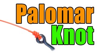 Palomar Knot Step By Step  Fly To Tippet  Line To Lure  Fly Fishing Streamer Knots [upl. by Maggs]