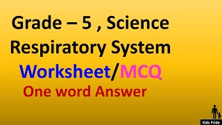 Class5th Respiratory system  grade 5 science Respiratory System worksheet MCQ  One word Answer [upl. by Pettifer]