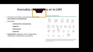 Leucemia Mieloide Aguda [upl. by Bricker621]