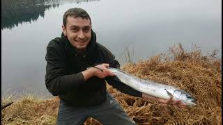 FISHING SCOTTISH LOCHS [upl. by Nilerual695]