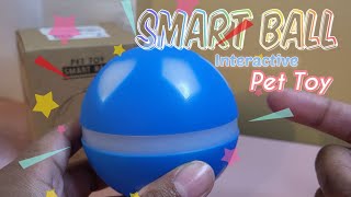 PetDroid Interactive Dog Toys Dog Ball Review [upl. by Iahs]