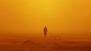 The Cinematography of Blade Runner 2049 Film Edit [upl. by Virgina]