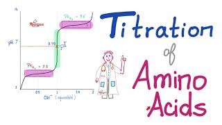 Titration of Amino Acids  pH pKa1 and pKa2  Isoelectric Point Amino Acids Part 4 [upl. by Cacka90]