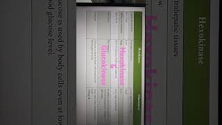 Difference between Hexokinase amp Glucokinase [upl. by Imogen]