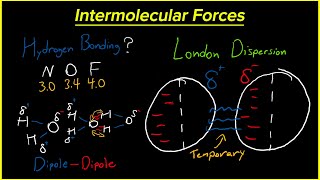 Learning The Intermolecular Forces  Easy Chemistry Help Crash Course [upl. by Ardnasac]