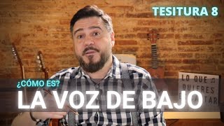 La VOZ de BAJO  ¿Cómo es Fortalezas y debilidades  TESITURA 8 [upl. by Palgrave]