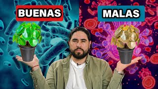 No Mas Plantas Enfermas  Bacterias Benéficas vs Bacterias Maliciosas Guía Básica [upl. by Theresita]