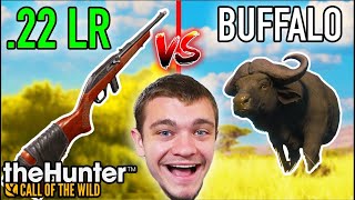 22LR vs GIANT Water Buffalo [upl. by Adnic494]