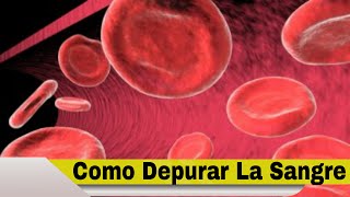 Como Depurar La Sangre Como Depurar La Sangre Con Cinco Hierbas Medicinales [upl. by Niarfe172]