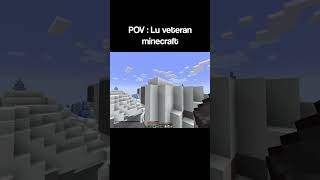 Noob Vs Veteran Minecraft [upl. by Ecyt]