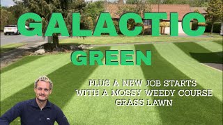 How to turn a round a rubbish lawn and Galactic green stripes and product application [upl. by Sorgalim]