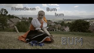 Ronix  Borovička amp Rum Lyrics [upl. by Desi463]