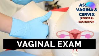 Vaginal Examination PV  OSCE Guide  UKMLA  CPSA [upl. by Crespi539]