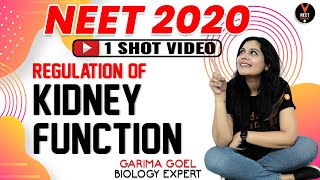 Regulation of Kidney Function Class 11  NEET Biology  NEET 2020 Preparation  Garima Goel [upl. by Ahsila]