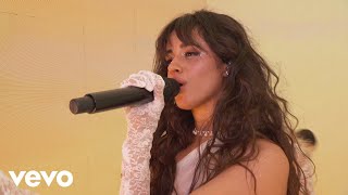 Camila Cabello  Living Proof Live from the 2019 AMAs [upl. by Trabue]