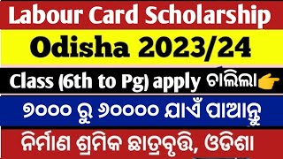 Labour card scholarship 202324 date ll Mirmana shramik Kalyan yojana scholarship odisha last date [upl. by Us]