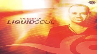 Liquid Soul  The Best of Liquid Soul Full Album [upl. by Eniortna]