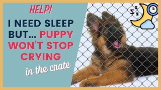 Crate Training a Puppy At Night Who Won’t Stop Crying [upl. by Annmarie]